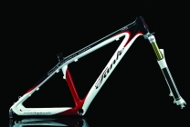 Tank Ruby Full carbon Frameset